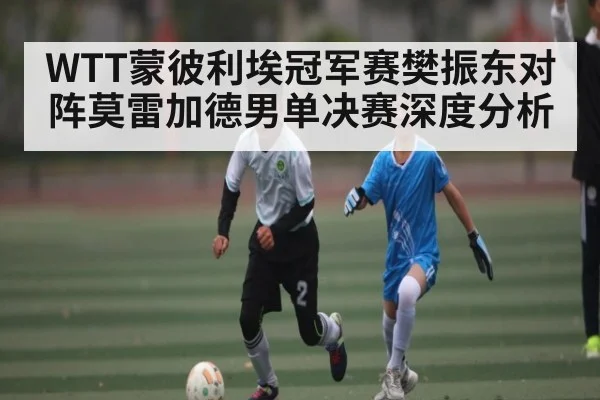 WTT蒙彼利埃冠军赛樊振东对阵莫雷加德男单决赛深度分析