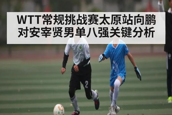 WTT常规挑战赛太原站向鹏对安宰贤男单八强关键分析(ANBOSPORT)